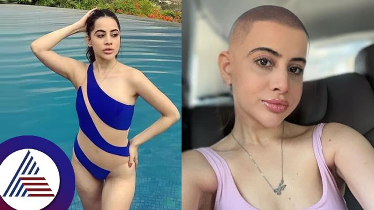 ಅರೆರೆ ಉರ್ಫಿಗೆ ಇದೇನಾಗೋಯ್ತು? ತಲೆ ಬೋಳಿಸಿಕೊಂಡಿರೋ ನಟಿಯ ಕಂಡ ಫ್ಯಾನ್ಸ್ ಕಂಗಾಲು! ಅರೆರೆ ಉರ್ಫಿಗೆ ಇದೇನಾಗೋಯ್ತು? ತಲೆ ಬೋಳಿಸಿಕೊಂಡಿರೋ ನಟಿಯ ಕಂಡ ಫ್ಯಾನ್ಸ್ ಕಂಗಾಲು!