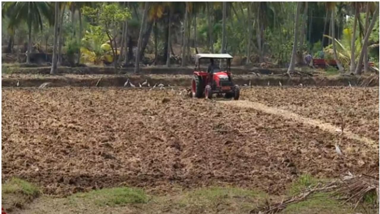 വിണ്ടുകീറിയ പാടങ്ങളിലേക്ക് വേനൽമഴ പെയ്തിറങ്ങി; കർഷകർക്ക് ആശ്വാസം വിണ്ടുകീറിയ പാടങ്ങളിലേക്ക് വേനൽമഴ പെയ്തിറങ്ങി; കർഷകർക്ക് ആശ്വാസം