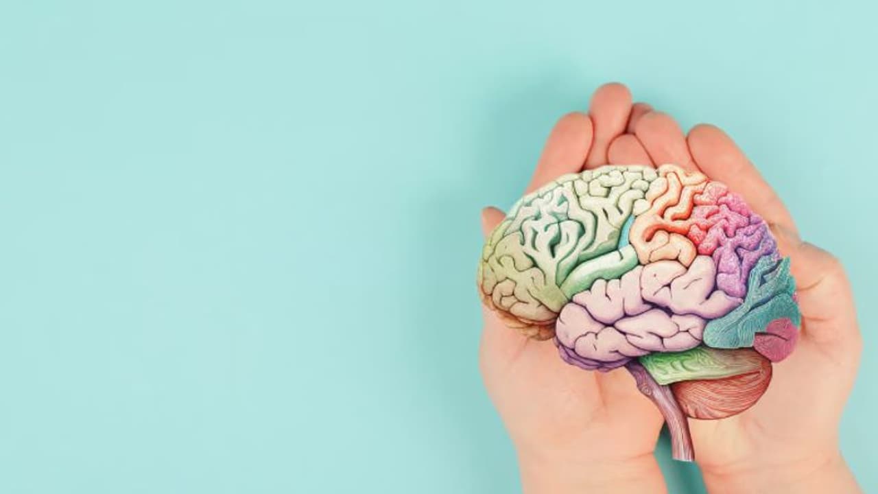 World Brain Day 2024 : തലച്ചോറിൻ്റെ ആരോഗ്യത്തിനായി ജീവിതശെെലിയിൽ നാം ശ്രദ്ധിക്കേണ്ടത് എന്തൊക്കെ?