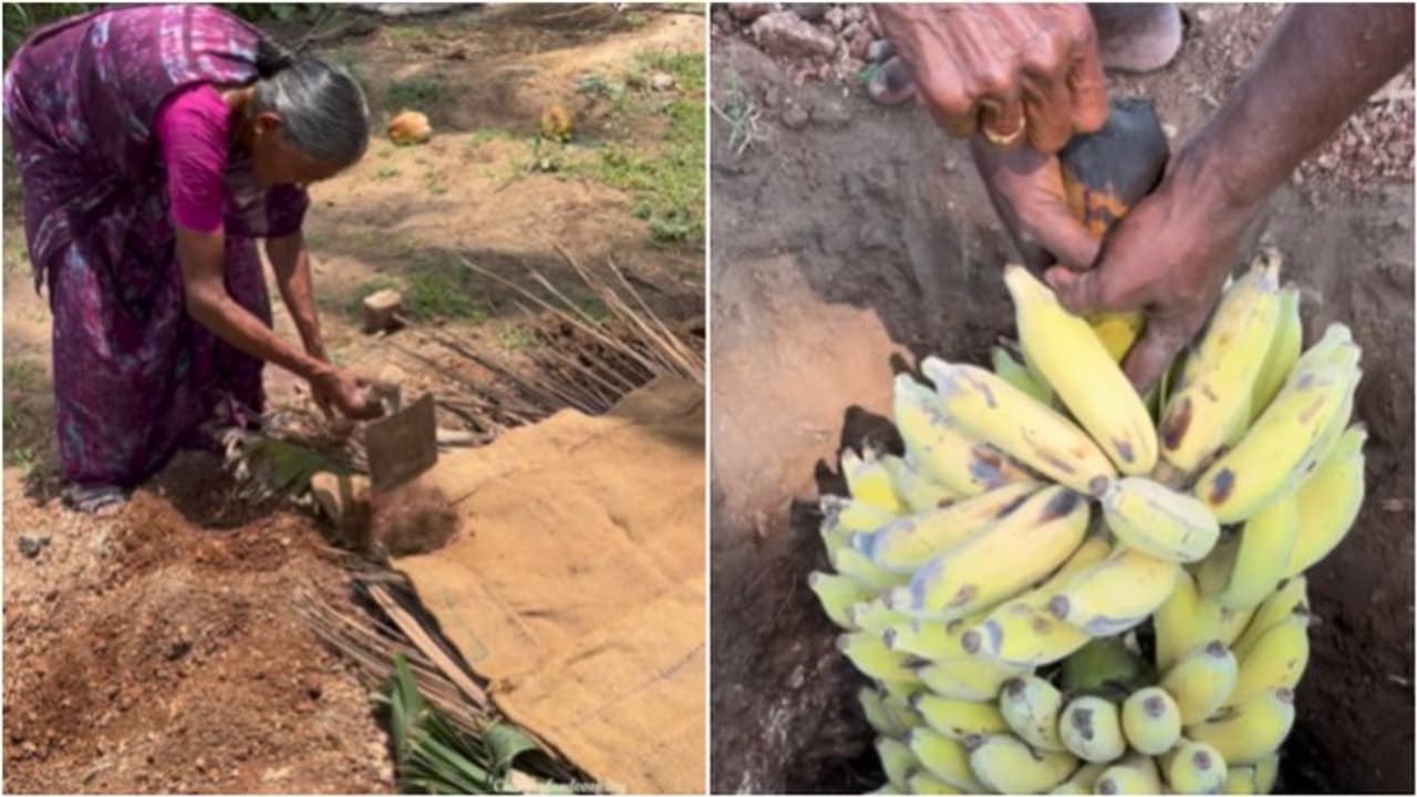 Nature's Secret: Learn how this old lady naturally ripens bananas [watch]