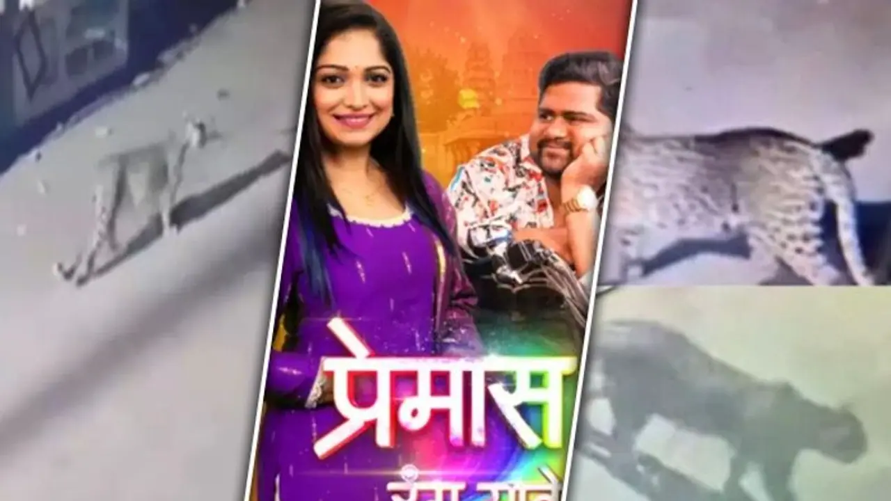 SHOCKING: Leopard enters 'Premas Rang Yave' sets in Kolhapur (VIDEO) SHOCKING: Leopard enters 'Premas Rang Yave' sets in Kolhapur (VIDEO)