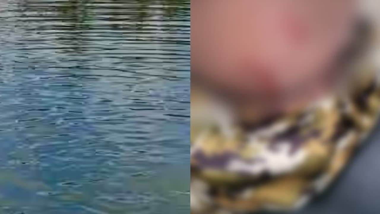 എടത്വാ നദിയിൽ കുളിക്കുന്നതിനിടെ നീർനായ ആക്രമണം; 9 വയസ്സുകാരന് കടിയേറ്റു എടത്വാ നദിയിൽ കുളിക്കുന്നതിനിടെ നീർനായ ആക്രമണം; 9 വയസ്സുകാരന് കടിയേറ്റു