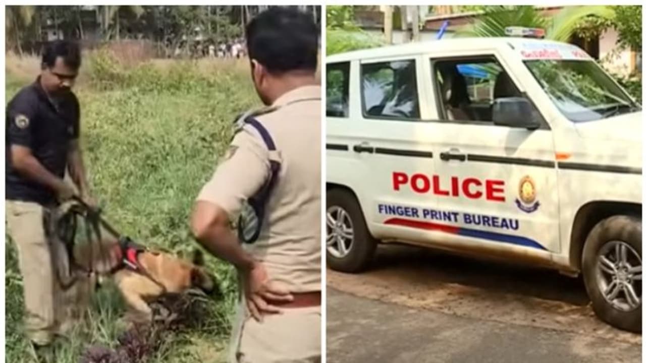 10 വയസുകാരിയെ തട്ടിക്കൊണ്ടുപോയി സ്വർണം കവർന്ന സംഭവം; കുട്ടി ലൈംഗിക അതിക്രമത്തിനിരയായെന്ന് മെഡിക്കൽ റിപ്പോർട്ട് 10 വയസുകാരിയെ തട്ടിക്കൊണ്ടുപോയി സ്വർണം കവർന്ന സംഭവം; കുട്ടി ലൈംഗിക അതിക്രമത്തിനിരയായെന്ന് മെഡിക്കൽ റിപ്പോർട്ട്