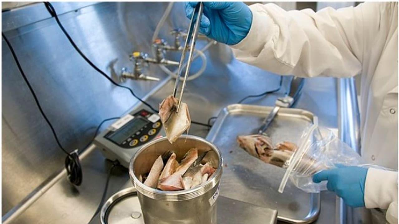 ഭക്ഷ്യസുരക്ഷാ ഓഫീസുകളിൽ വിജിലൻസ് മിന്നൽ പരിശോധന, ഞെട്ടിക്കുന്ന ക്രമക്കേടുകൾ, ഹോട്ടൽ ലൈസൻസിലടക്കം തിരിമറി 