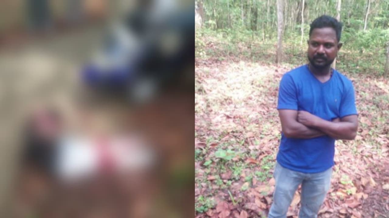 ഫോണ് ചെയ്ത് കാടിനുള്ളിലേക്ക് വിളിച്ചുവരുത്തി, ഭാര്യയെ ചുറ്റികക്ക് അടിച്ച് പരിക്കേൽപ്പിച്ചു; ഭർത്താവ് പിടിയിൽ ഫോണ് ചെയ്ത് കാടിനുള്ളിലേക്ക് വിളിച്ചുവരുത്തി, ഭാര്യയെ ചുറ്റികക്ക് അടിച്ച് പരിക്കേൽപ്പിച്ചു; ഭർത്താവ് പിടിയിൽ