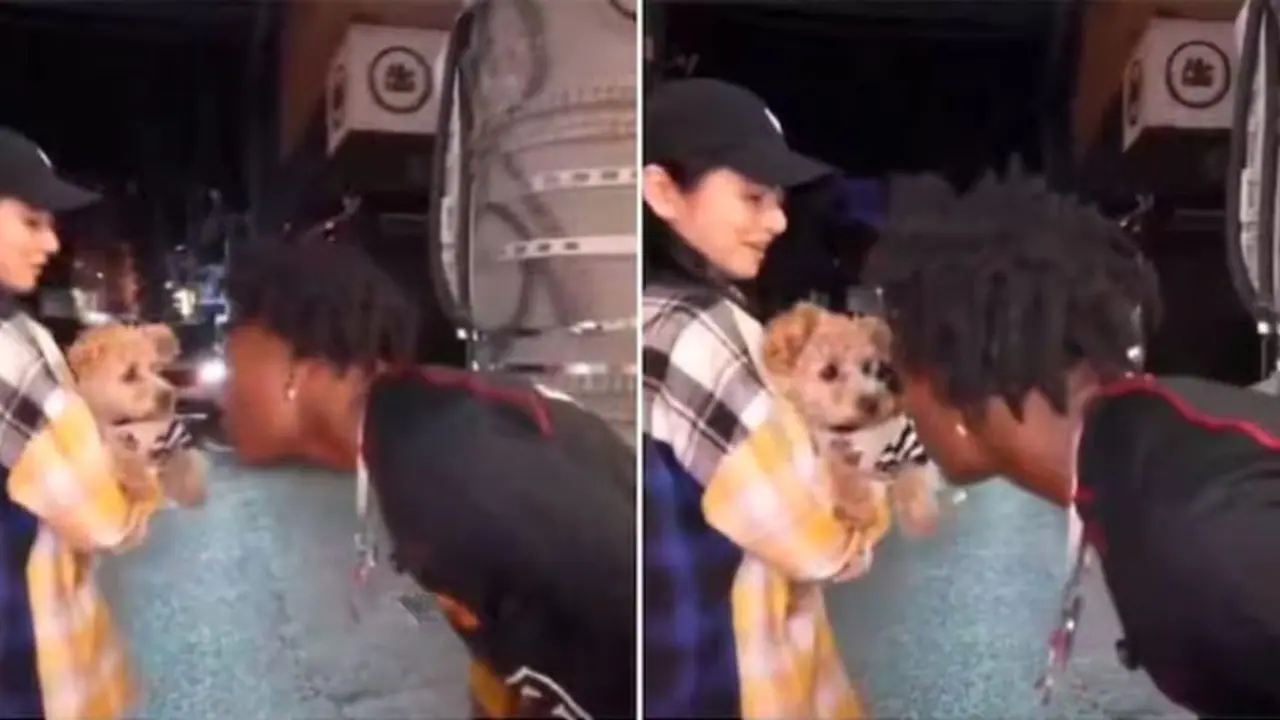 ನಾಯಿ ಜೊತೆ ತಮಾಷೆ ಮಾಡಲು ಹೋಗಿ ಸರಿಯಾಗಿ ಕಚ್ಚಿಸಿಕೊಂಡ ಯೂಟ್ಯೂಬರ್: ವೀಡಿಯೋ ವೈರಲ್ ನಾಯಿ ಜೊತೆ ತಮಾಷೆ ಮಾಡಲು ಹೋಗಿ ಸರಿಯಾಗಿ ಕಚ್ಚಿಸಿಕೊಂಡ ಯೂಟ್ಯೂಬರ್: ವೀಡಿಯೋ ವೈರಲ್