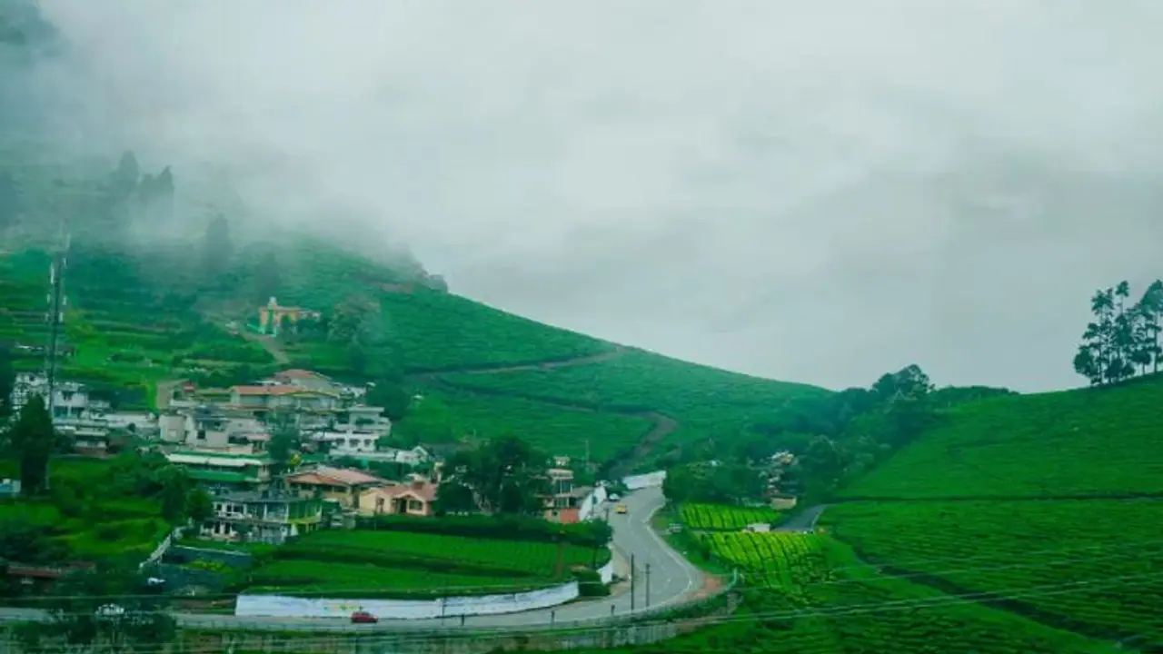 'മൂന്ന് ദിവസത്തേക്ക് ഊട്ടി യാത്ര ഒഴിവാക്കണം'; വിനോദസഞ്ചാരികള്ക്ക് കലക്ടറുടെ നിർദേശം 'മൂന്ന് ദിവസത്തേക്ക് ഊട്ടി യാത്ര ഒഴിവാക്കണം'; വിനോദസഞ്ചാരികള്ക്ക് കലക്ടറുടെ നിർദേശം