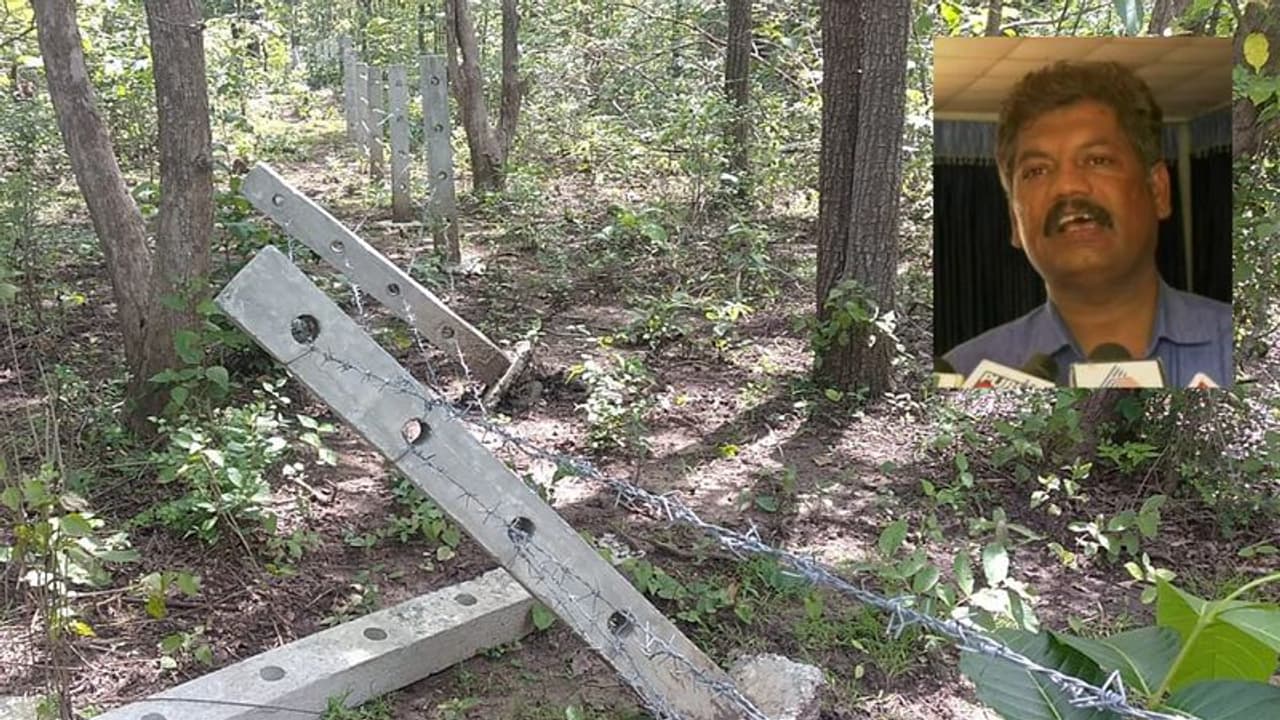 ಧಾರವಾಡ ಅರಣ್ಯ ಇಲಾಖೆಯ 'ರೂಟ್ ಸ್ಟಾಕ್' ಯೋಜನೆಯಲ್ಲಿ ಲಕ್ಷ ಲಕ್ಷ ಲೂಟಿ: ಏನಿದು ಆರೋಪ? ಧಾರವಾಡ ಅರಣ್ಯ ಇಲಾಖೆಯ 'ರೂಟ್ ಸ್ಟಾಕ್' ಯೋಜನೆಯಲ್ಲಿ ಲಕ್ಷ ಲಕ್ಷ ಲೂಟಿ: ಏನಿದು ಆರೋಪ?