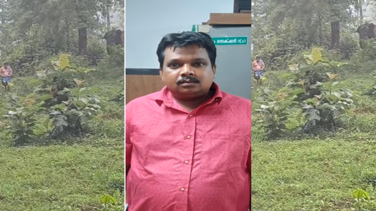 കാട്ടാനയ്ക്ക് പഴവും ജിലേബിയും കൊടുക്കാൻ പോയി, വീഡിയോ വനംവകുപ്പിന്, തമിഴ്നാട് സ്വദേശി 14 ദിവസം റിമാൻഡിൽ