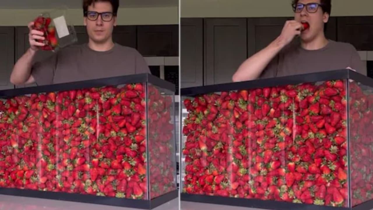 12 മണിക്കൂർ കൊണ്ട് യുവാവ് കഴിച്ചത് '100 ലിറ്റര്‍' സ്ട്രോബെറി; വൈറല്‍