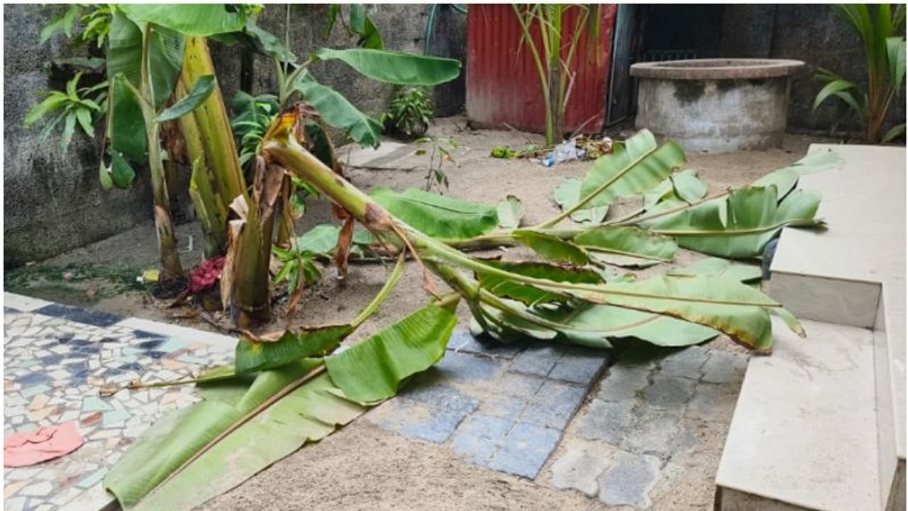മദ്യപാനവും ലഹരി ഉപയോഗവും ചോദ്യം ചെയ്തു; ഗൃഹനാഥൻ്റെ വീടിനു നേരെ ആക്രമണം, പരാതി നൽകി