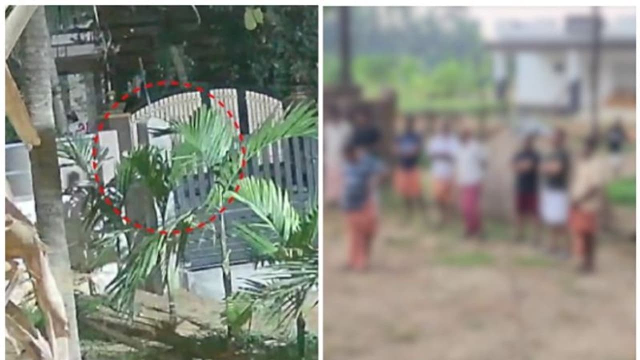 കാഞ്ഞങ്ങാട് 10 വയസുകാരിയെ തട്ടിക്കൊണ്ടുപോയി ലൈംഗികാതിക്രമം; പ്രതി കുടക് സ്വദേശിയായ യുവാവെന്ന് പൊലീസ് കാഞ്ഞങ്ങാട് 10 വയസുകാരിയെ തട്ടിക്കൊണ്ടുപോയി ലൈംഗികാതിക്രമം; പ്രതി കുടക് സ്വദേശിയായ യുവാവെന്ന് പൊലീസ്