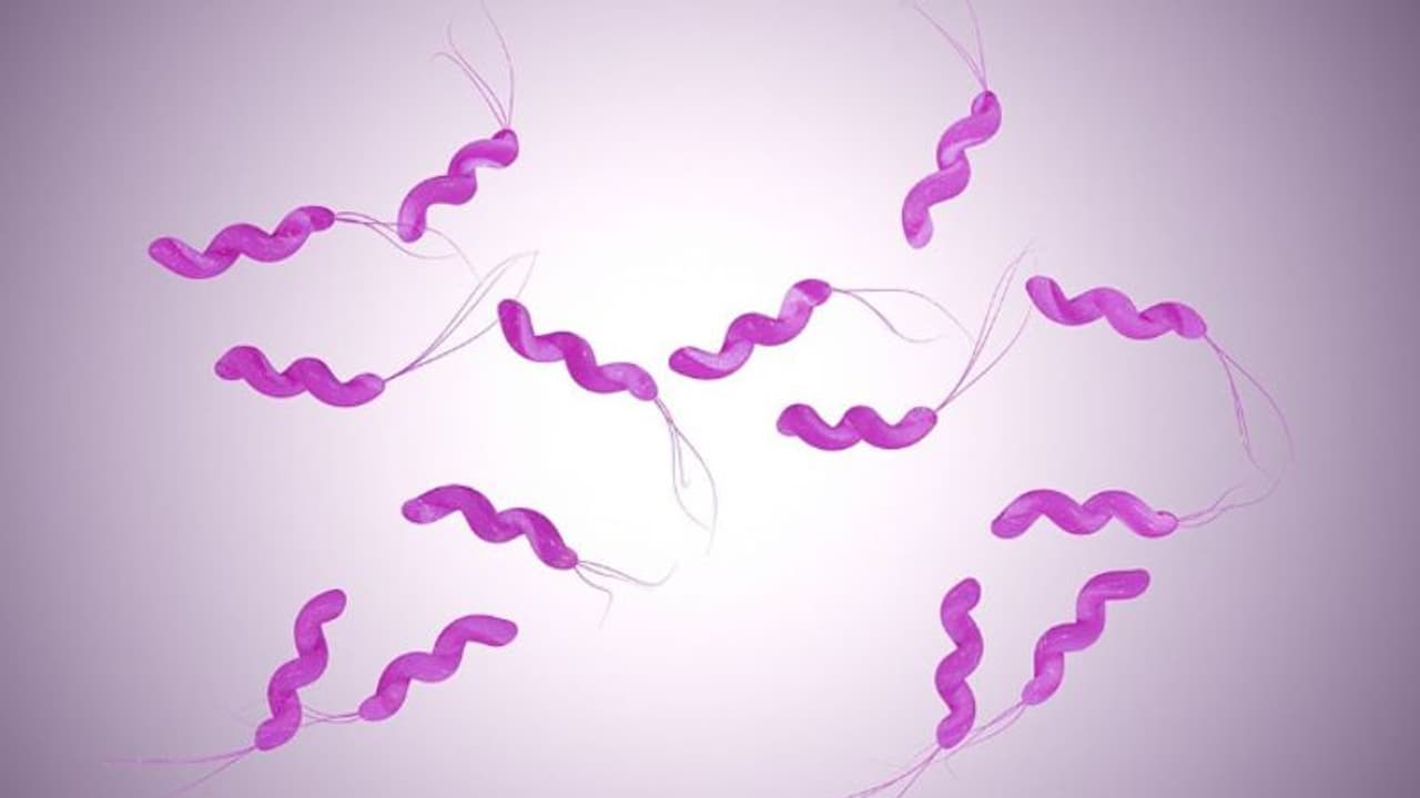 ഇനി മഴക്കാലമാണ്, എലിപ്പനി കേസുകള് കൂടാം; അറിയാം ലക്ഷണങ്ങളും പ്രതിരോധ മാര്ഗങ്ങളും ഇനി മഴക്കാലമാണ്, എലിപ്പനി കേസുകള് കൂടാം; അറിയാം ലക്ഷണങ്ങളും പ്രതിരോധ മാര്ഗങ്ങളും