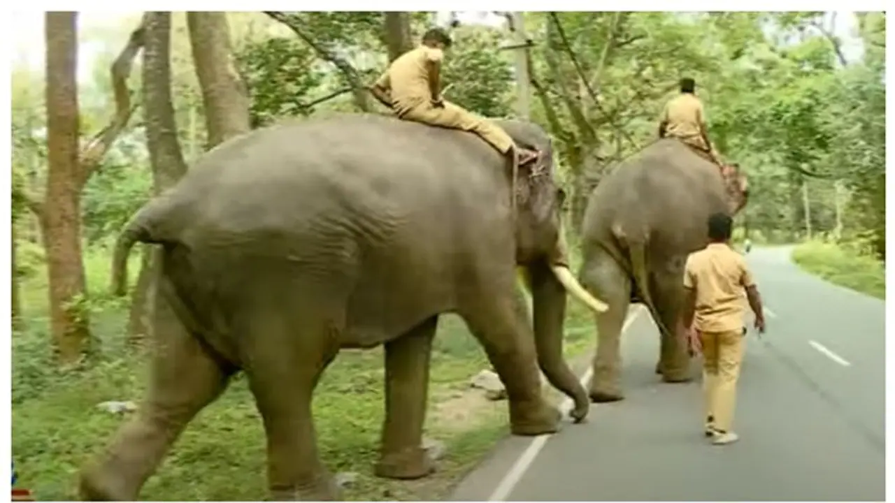 9 ತಿಂಗಳಲ್ಲಿ ಅರಣ್ಯ ಇಲಾಖೆಯಲ್ಲಿ 711 ಹುದ್ದೆಗಳು ಖಾಲಿ