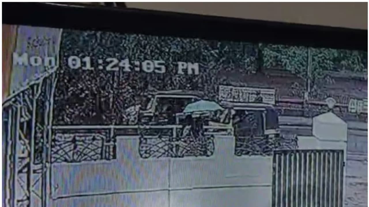 തൃശൂരിൽ ഓടിക്കൊണ്ടിരുന്ന കാറുകൾക്ക് മുകളിലേക്ക് മരം വീണു