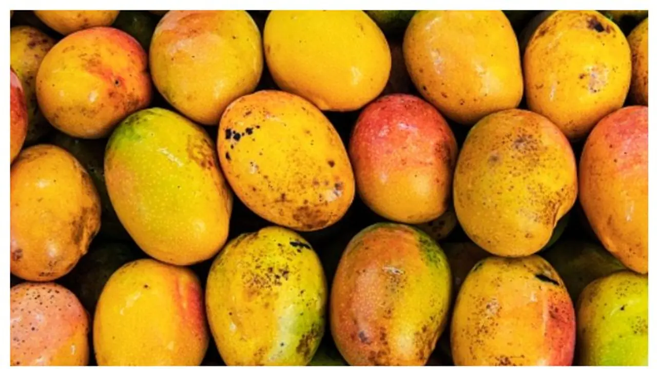 കൃത്രിമമായി പഴുപ്പിച്ച മാമ്പഴം എങ്ങനെ തിരിച്ചറിയാം? 