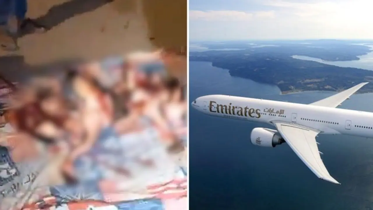 40 flamingos killed after Emirates flight hits flock near Mumbai airport; disturbing videos surface (WATCH)