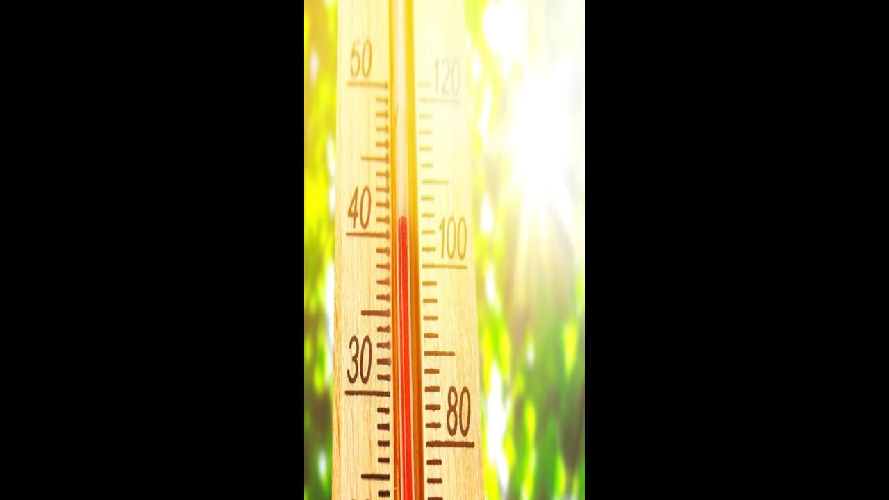 ബിഹാറിൽ സൂര്യാതപമേറ്റ് മരിച്ചവരിൽ 8 പേർ തെരഞ്ഞെടുപ്പ് ഡ്യൂട്ടിക്ക് എത്തിയവർ 