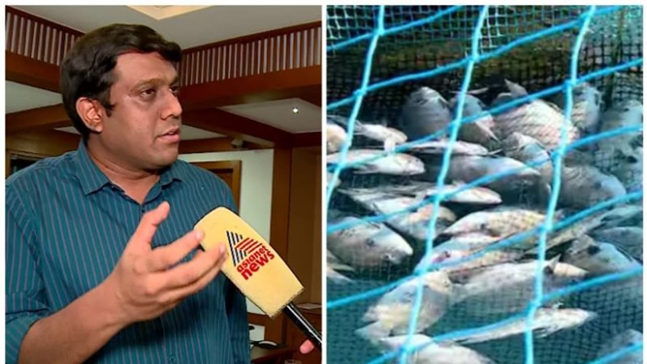 പെരിയാറിൽ മത്സ്യങ്ങൾ ചത്തുപൊങ്ങിയ സംഭവം; അന്വേഷണത്തിന് നിർദേശം നൽകി ജില്ലാ കളക്ടർ