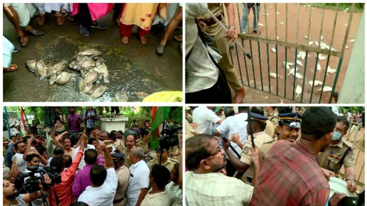 പെരിയാറിലെ മത്സ്യക്കുരുതി; ചത്തമീനുകളുമായി മലിനീകരണ നിയന്ത്രണ ബോർഡിന് മുന്നിൽ പ്രതിഷേധിച്ച് മത്സ്യക്കർഷകർ പെരിയാറിലെ മത്സ്യക്കുരുതി; ചത്തമീനുകളുമായി മലിനീകരണ നിയന്ത്രണ ബോർഡിന് മുന്നിൽ പ്രതിഷേധിച്ച് മത്സ്യക്കർഷകർ