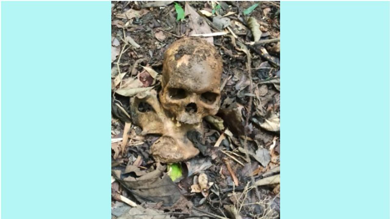 വയനാട് വനത്തിൽ തലയോട്ടിയും അസ്ഥികൂടവും കണ്ടെത്തി വയനാട് വനത്തിൽ തലയോട്ടിയും അസ്ഥികൂടവും കണ്ടെത്തി