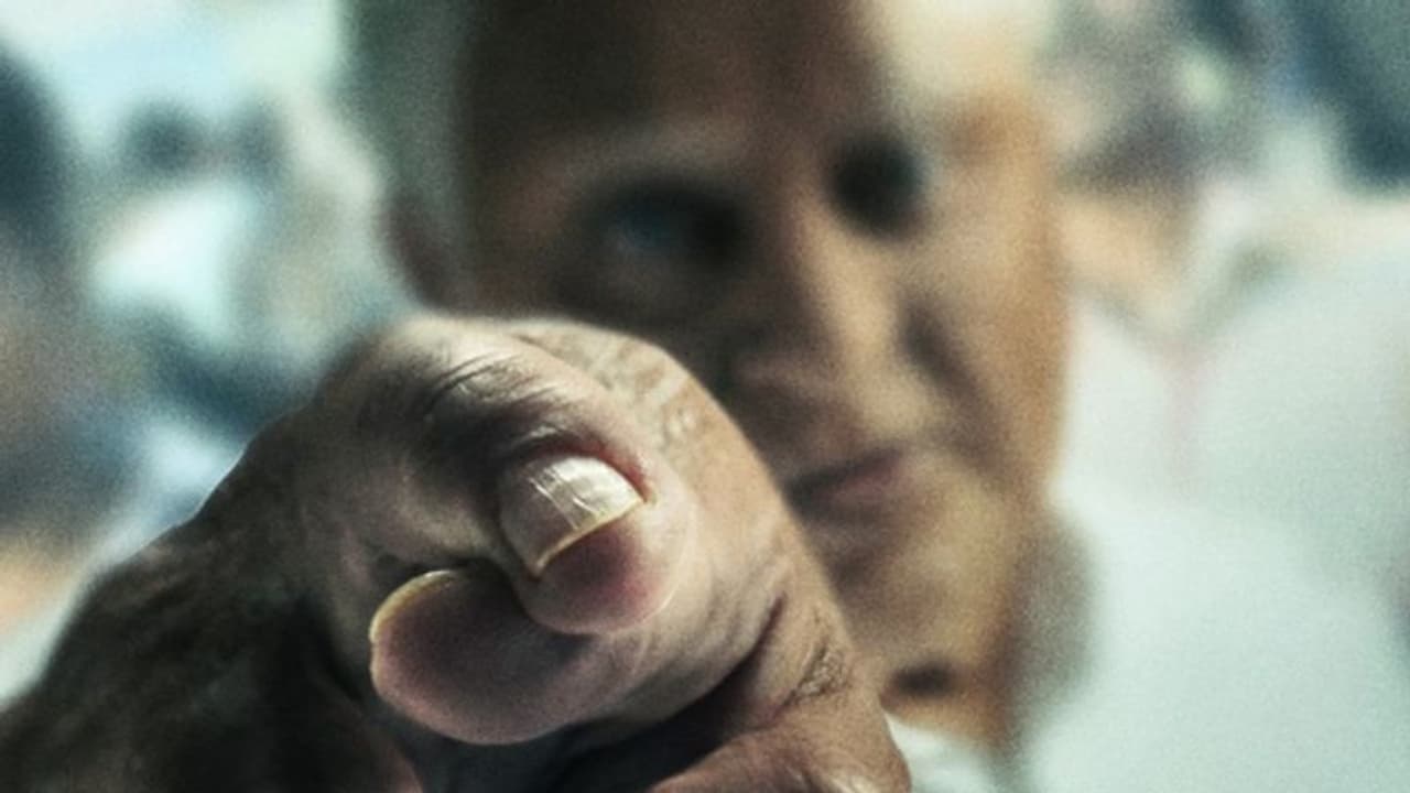 ഇന്ത്യൻ 2 കേരളത്തിലും ആവേശമാകും, തിയറ്ററുകളില് എത്തിക്കുന്നത് വമ്പൻമാര് ഇന്ത്യൻ 2 കേരളത്തിലും ആവേശമാകും, തിയറ്ററുകളില് എത്തിക്കുന്നത് വമ്പൻമാര്