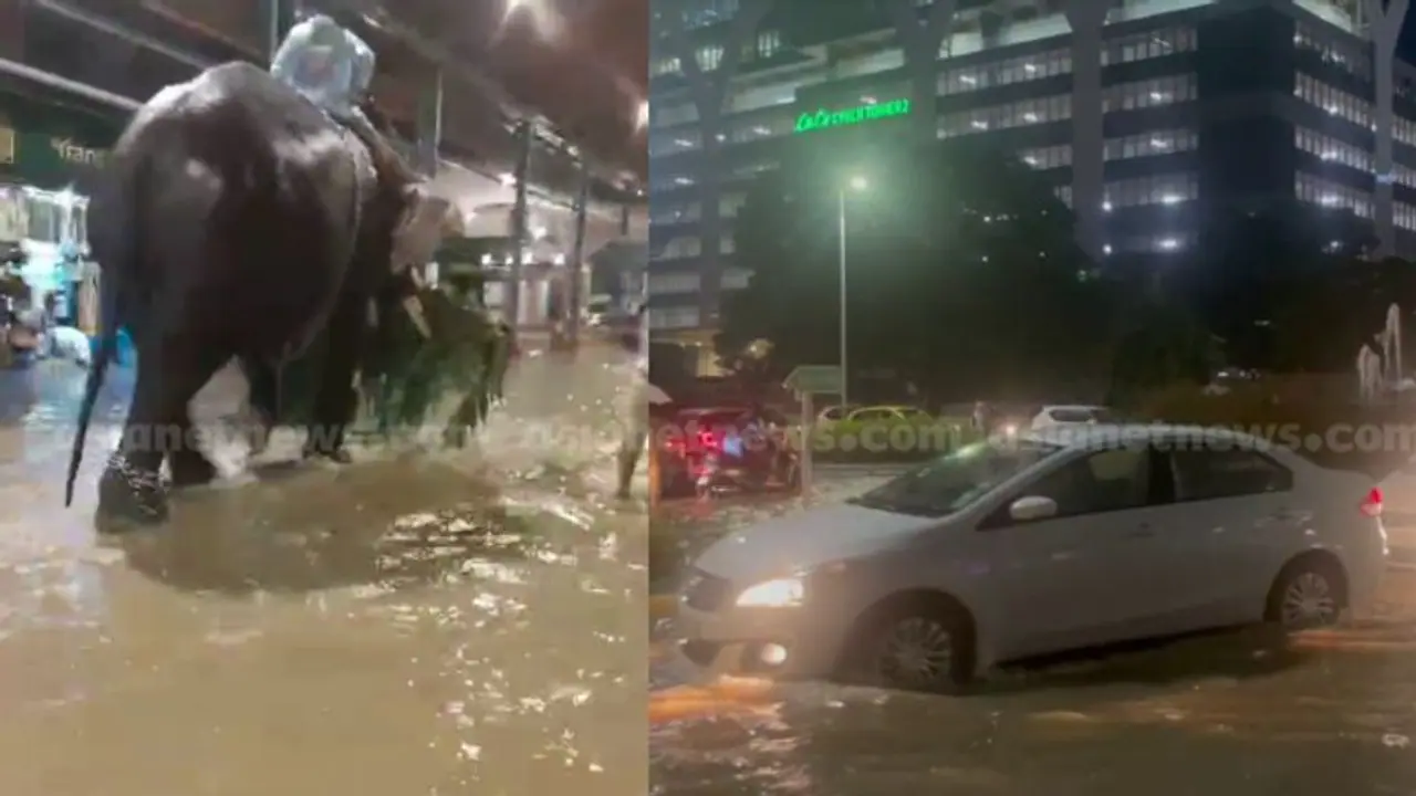 സംസ്ഥാനത്ത് അതിശക്തമായ മഴ: ആശുപത്രികളിലും ഗുരുവായൂര് ക്ഷേത്രത്തിന്റെ നടപ്പുരയിലും വെള്ളം കയറി സംസ്ഥാനത്ത് അതിശക്തമായ മഴ: ആശുപത്രികളിലും ഗുരുവായൂര് ക്ഷേത്രത്തിന്റെ നടപ്പുരയിലും വെള്ളം കയറി