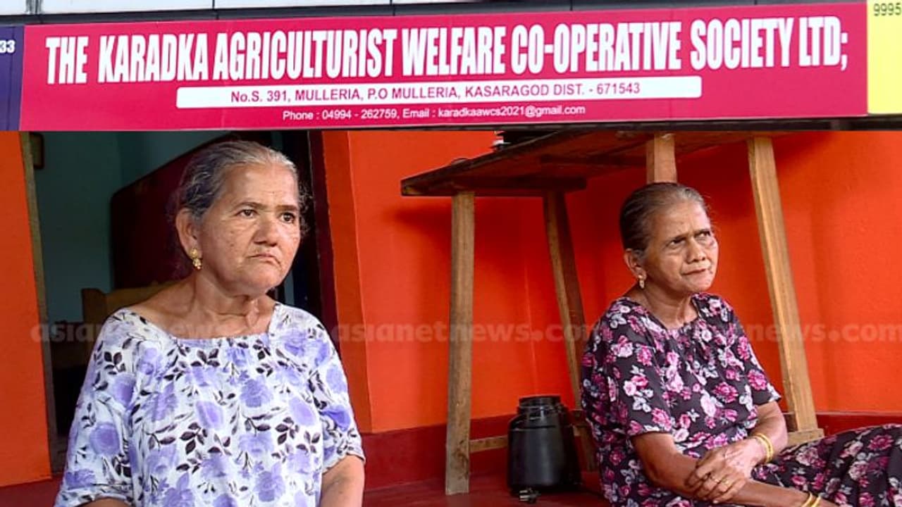 കാറഡുക്ക സൊസൈറ്റി തട്ടിപ്പ്: ചികിത്സയ്ക്ക് 1 ലക്ഷം ചോദിച്ചെത്തിയ എൻ്റോസൾഫാൻ ഇരക്ക് കിട്ടിയത് 5000 രൂപ