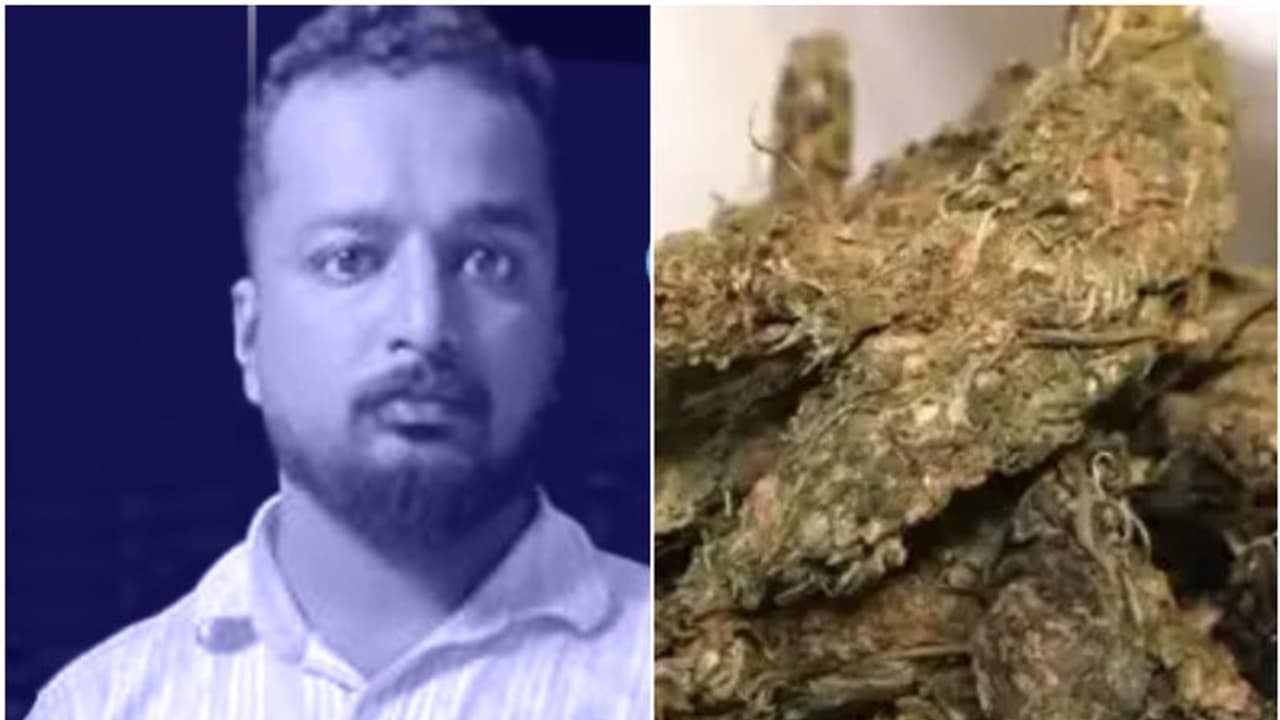 ലോഡ്ജിൽ മുറിയെടുത്ത് കഞ്ചാവ് വിൽപ്പന; യുവാവ് അറസ്റ്റിൽ, രണ്ടുപേർ ഒളിവിൽ