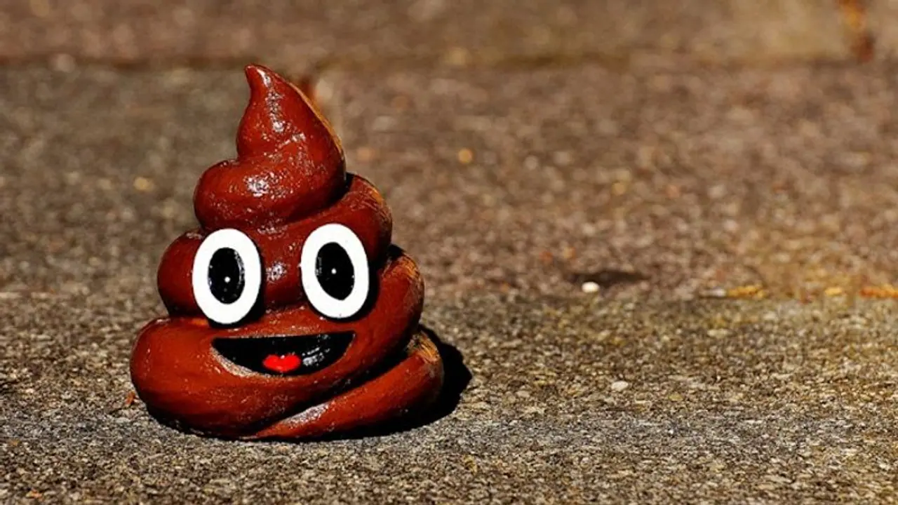 Bizarre! THIS company is ready to pay for Rs 1.5 crore per year for your stool; here's why & how you can apply