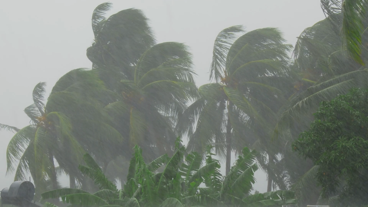 Coastal Karnataka to experience heavy rainfall until May 29, Yellow alert issued Coastal Karnataka to experience heavy rainfall until May 29, Yellow alert issued