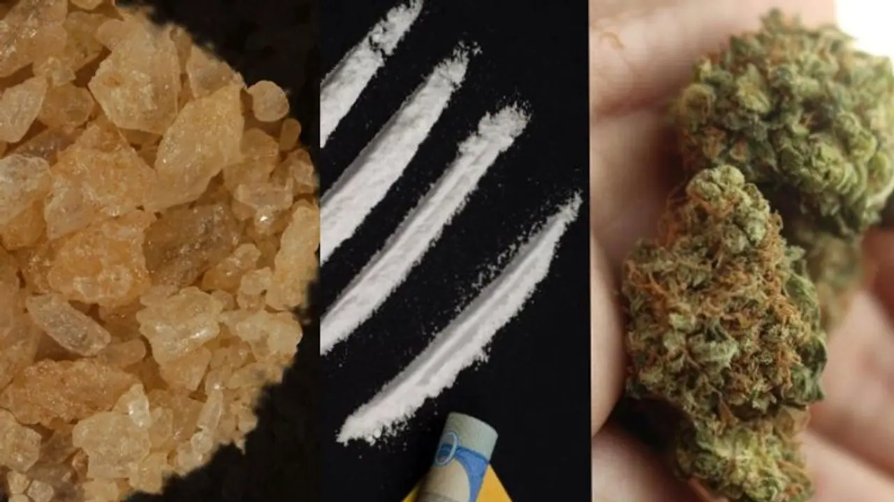 From cocaine coated Rs 500 notes to MDMA, hydro cannabis: Items seized from lavish Bengaluru rave party From cocaine coated Rs 500 notes to MDMA, hydro cannabis: Items seized from lavish Bengaluru rave party