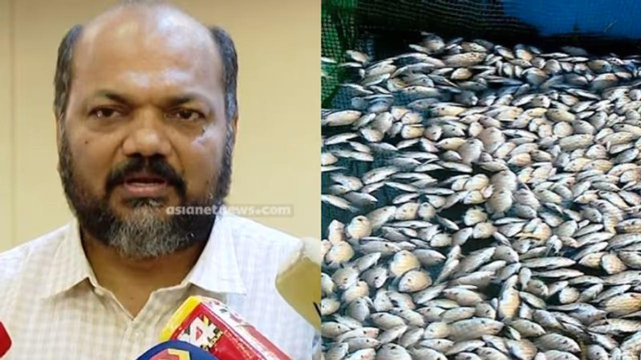 പുഴകള്ക്കായി പ്രത്യേക അതോറിറ്റി പരിഗണനയില്, ശാസ്ത്രീയ റിപ്പോര്ട്ട് അനുസരിച്ച് തുടര് നടപടിയെന്ന് മന്ത്രി പുഴകള്ക്കായി പ്രത്യേക അതോറിറ്റി പരിഗണനയില്, ശാസ്ത്രീയ റിപ്പോര്ട്ട് അനുസരിച്ച് തുടര് നടപടിയെന്ന് മന്ത്രി