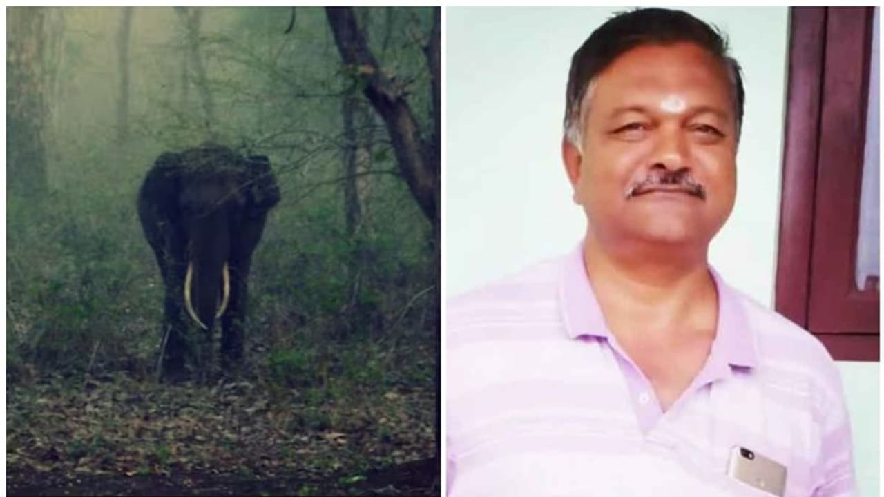 ഭാരതിയാര് യൂണിവേഴ്സിറ്റി ക്യാമ്പസില് കാട്ടാന ആക്രമണം; സുരക്ഷാ ജീവനക്കാരന് ദാരുണാന്ത്യം ഭാരതിയാര് യൂണിവേഴ്സിറ്റി ക്യാമ്പസില് കാട്ടാന ആക്രമണം; സുരക്ഷാ ജീവനക്കാരന് ദാരുണാന്ത്യം