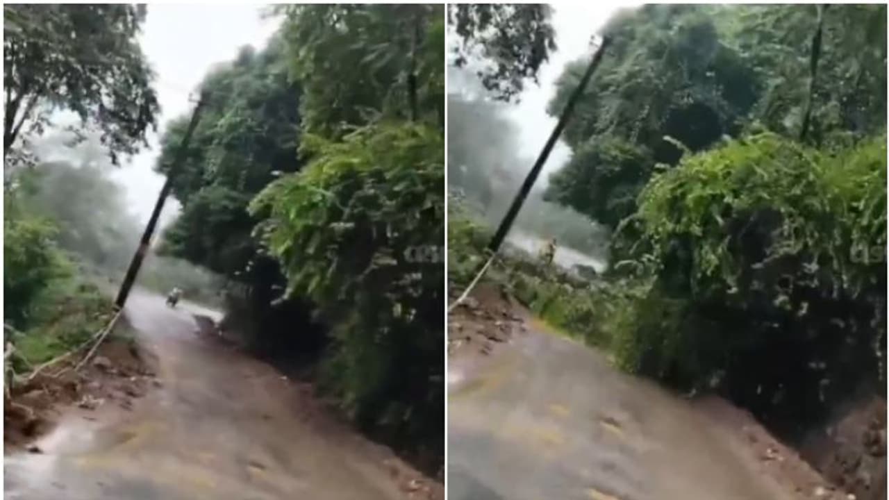 'ഇങ്ങോട്ട് വരരുത്..' ശബ്ദം കേട്ട ലാലി സ്കൂട്ടർ നിർത്തി'; നിമിഷങ്ങൾക്കുള്ളിൽ തൊട്ടുമുന്നിൽ വീണത് വൻ മരം, വീഡിയോ 'ഇങ്ങോട്ട് വരരുത്..' ശബ്ദം കേട്ട ലാലി സ്കൂട്ടർ നിർത്തി'; നിമിഷങ്ങൾക്കുള്ളിൽ തൊട്ടുമുന്നിൽ വീണത് വൻ മരം, വീഡിയോ