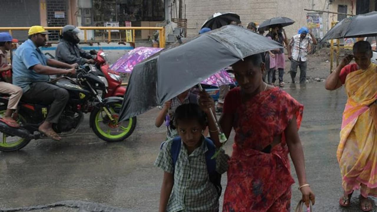 Tamilnadu Rain தமிழகத்தில் இன்று எங்கெல்லாம் மழை ஊத்தப்போகிறது? சென்னையின் நிலவரம் என்ன? வானிலை மையம் அப்டேட்! Tamilnadu Rain தமிழகத்தில் இன்று எங்கெல்லாம் மழை ஊத்தப்போகிறது? சென்னையின் நிலவரம் என்ன? வானிலை மையம் அப்டேட்!