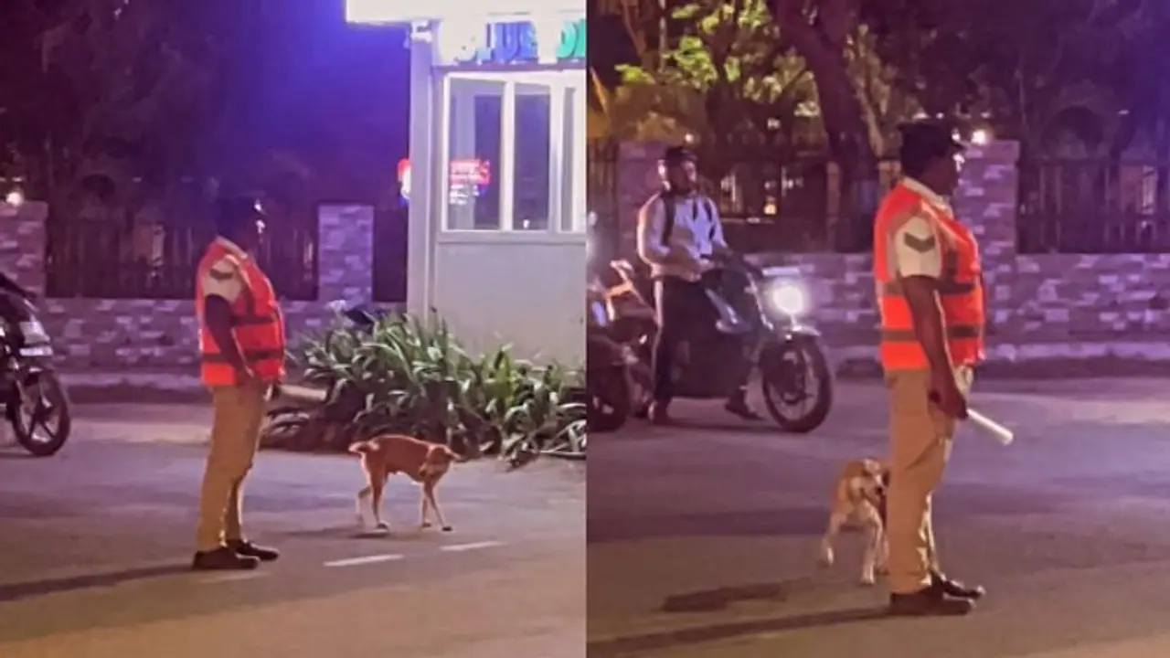 Watch the heartwarming video of traffic policeman busy in managing the roads with his furry companion