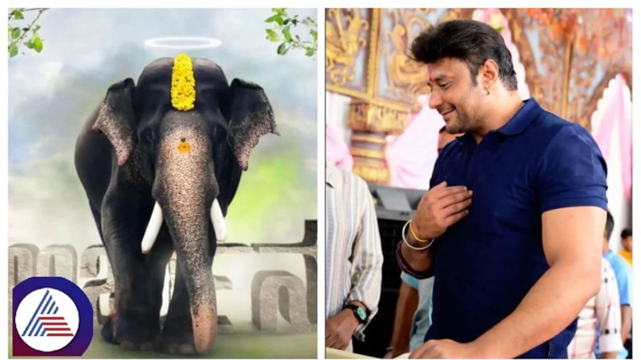 ನಟ ದರ್ಶನ್‌ ಕಳುಹಿಸಿದ್ದ ಕಲ್ಲುಗಳ ಹಣವನ್ನು ಅರಣ್ಯ ಇಲಾಖೆ ವಾಪಸ್ ಮಾಡಿದ್ಯಾ?