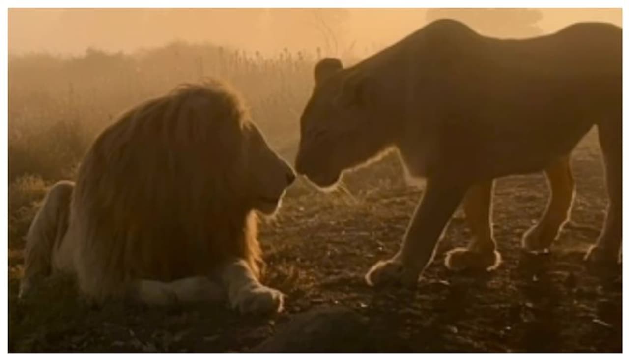 സിംഹ ചുംബനം; ഈ കാഴ്ചകാണാന്‍ അതിരാവിലെ നിങ്ങള്‍ എഴുന്നേല്‍ക്കുമോ? വൈറലായി ഒരു വീഡിയോ 