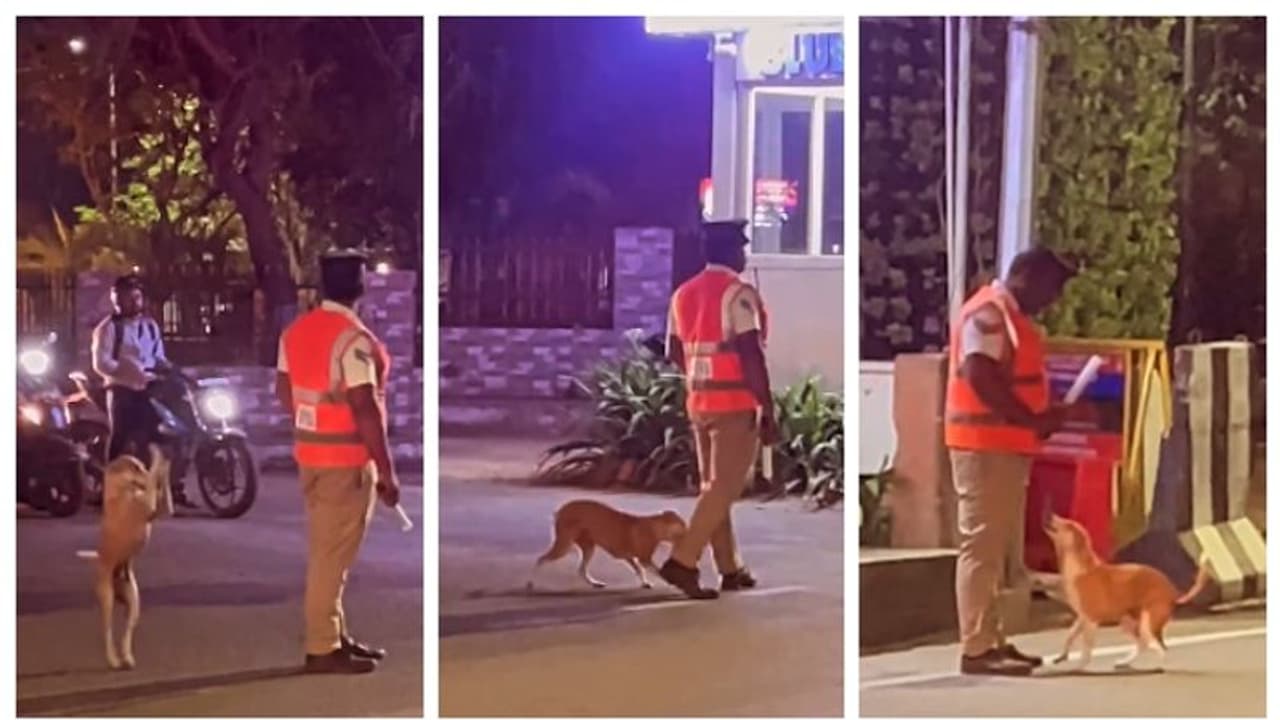 'ഒന്നടങ്ങിയിരിക്കെടാ'; ഡ്യൂട്ടിക്കിടയിൽ ട്രാഫിക് പൊലീസിനോട് ചങ്ങാത്തം കൂടാൻ എത്തിയ നായയുടെ വീഡിയോ വൈറൽ 