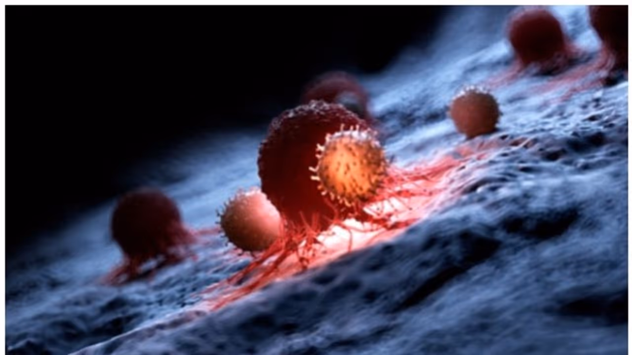 ഇന്ത്യയിലെ ക്യാൻസർ രോഗികളിൽ 20 ശതമാനം 40 വയസിന് താഴെയുള്ളവർ ; പഠനം ഇന്ത്യയിലെ ക്യാൻസർ രോഗികളിൽ 20 ശതമാനം 40 വയസിന് താഴെയുള്ളവർ ; പഠനം