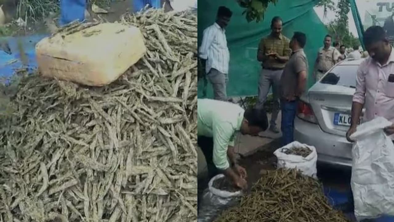 'കേസ് നടത്താൻ പണത്തിന് കഞ്ചാവ് വിൽപ്പന'; തൃശൂരിൽ 100 കിലോ കഞ്ചാവുമായി കൊലക്കേസ് പ്രതിയടക്കം 2 പേർ പിടിയിൽ