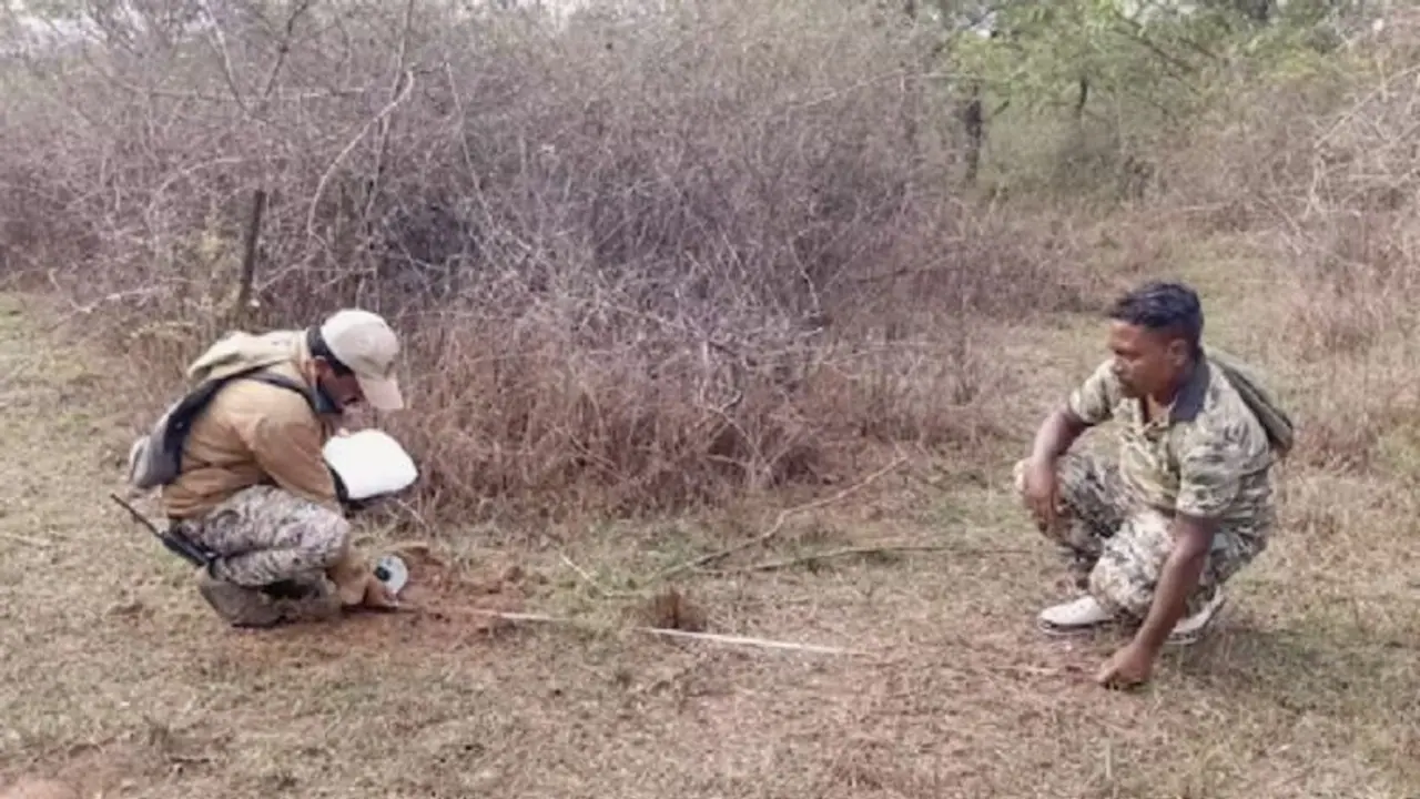 ಆನೆ ಲದ್ದಿ ಮೂಲಕ ಗಜಗಣತಿ: ಪ್ರತಿ ಬೀಟ್ನ 2ಕಿಮೀಗಳ ವ್ಯಾಪ್ತಿಯಲ್ಲಿ ಪರಿಶೀಲನೆ ಆನೆ ಲದ್ದಿ ಮೂಲಕ ಗಜಗಣತಿ: ಪ್ರತಿ ಬೀಟ್ನ 2ಕಿಮೀಗಳ ವ್ಯಾಪ್ತಿಯಲ್ಲಿ ಪರಿಶೀಲನೆ