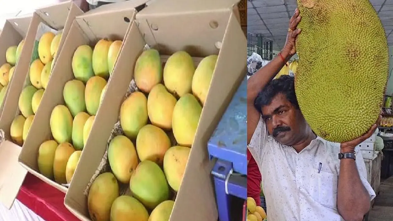 ಒಂದೇ ಸೂರಿನಡಿ ಬಾಯಲ್ಲಿ ನೀರೂರಿಸೋ ಬಗೆ ಬಗೆಯ ಮಾವು, ಹಲಸುಗಳು: ಮೇಳ ನಡೆಯುತ್ತಿರುವುದು ಎಲ್ಲಿ?