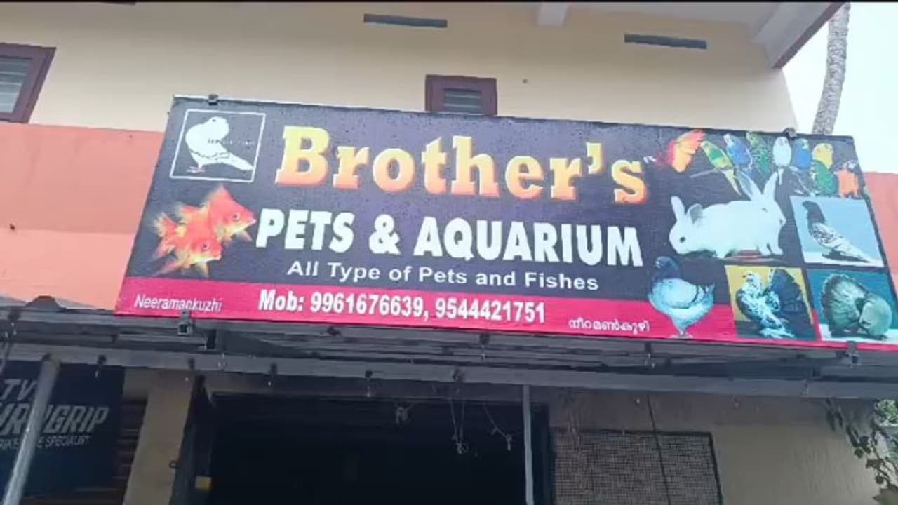 തിരുവനന്തപുരത്ത് പെറ്റ് ഷോപ്പിൽ അഗ്നിബാധ, കിളികളും മത്സ്യങ്ങളും ചത്തു, വൻ നഷ്ടമെന്ന് കടയുടമ 