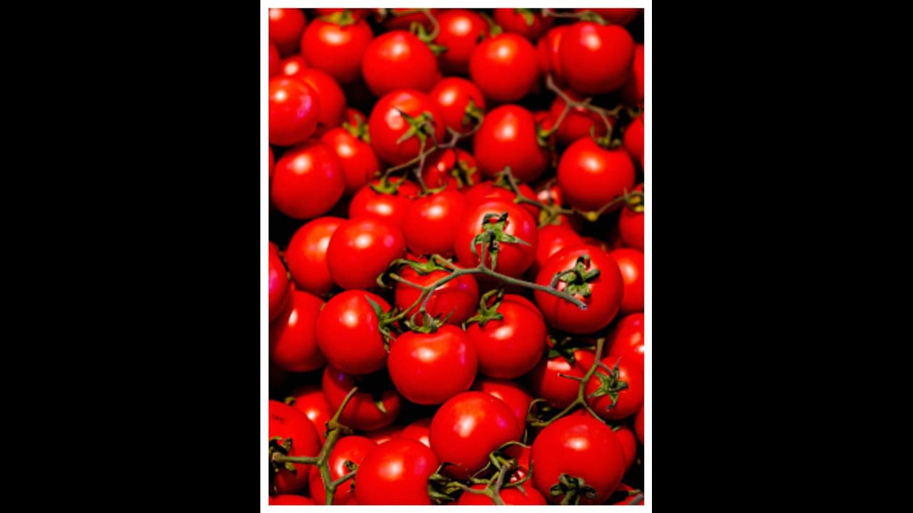 Karnataka struggles with soaring vegetable prices amid surge in fuel costs; Tomatoes cross Rs 100 in Bengaluru