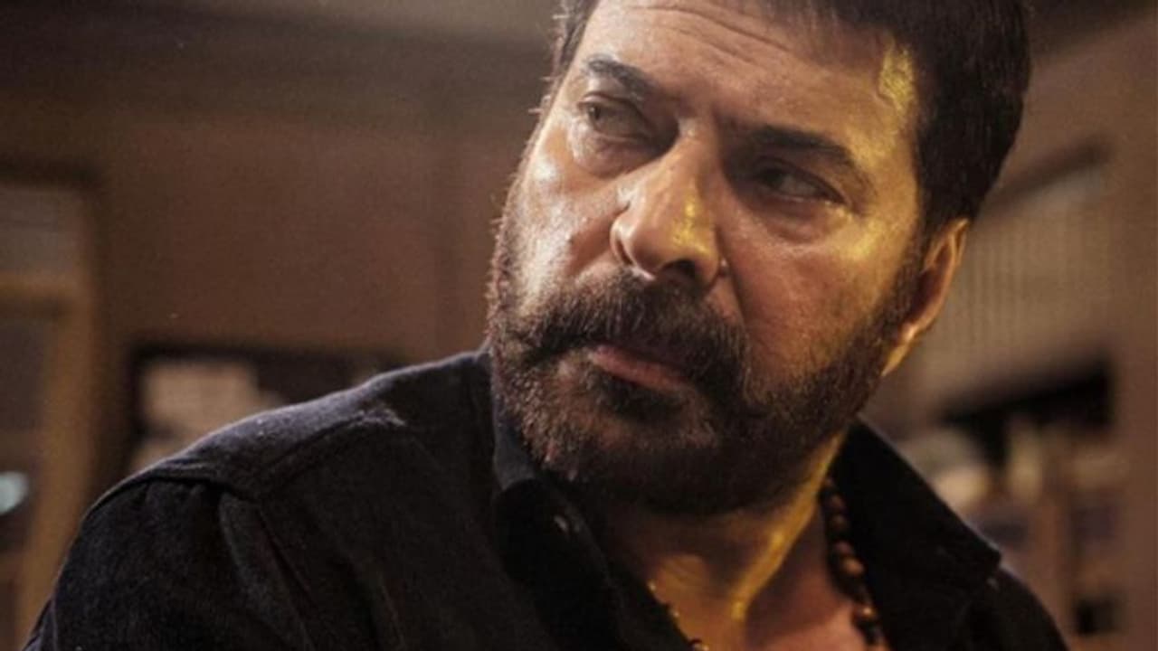 കളക്ഷനില്‍ കുതിച്ച് മമ്മൂട്ടിയുടെ ടര്‍ബോ, ഞായറാഴ്‍ച നേടിയത്