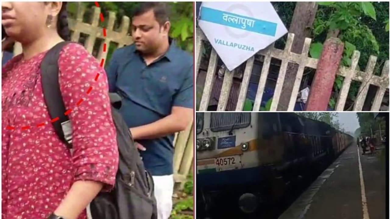 'നിലമ്പൂർ ഷൊർണ്ണൂർ പാസഞ്ചറിൽ യുവതിയെ കടിച്ചത് പാമ്പല്ല': വിഷമില്ലാത്ത മറ്റേതെങ്കിലും ജീവിയാകാമെന്ന് റെയില്‍വേ