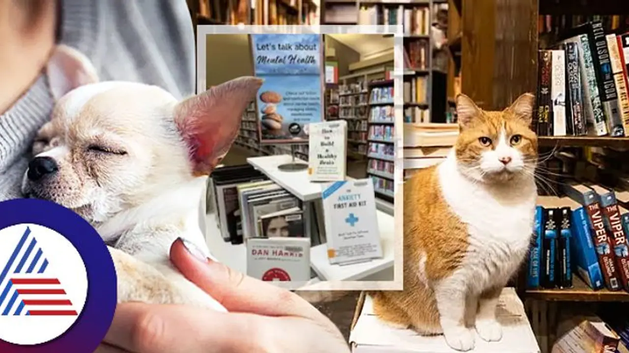 ಪುಸ್ತಕ ಹರಿದ್ರೆ ಹಣವಲ್ಲ‌, ಸಾಕುಪ್ರಾಣಿ ಫೋಟೊ ನೀಡಿ..ಲೈಬ್ರರಿಯ ವಿಚಿತ್ರ ಷರತ್ತಿದು!