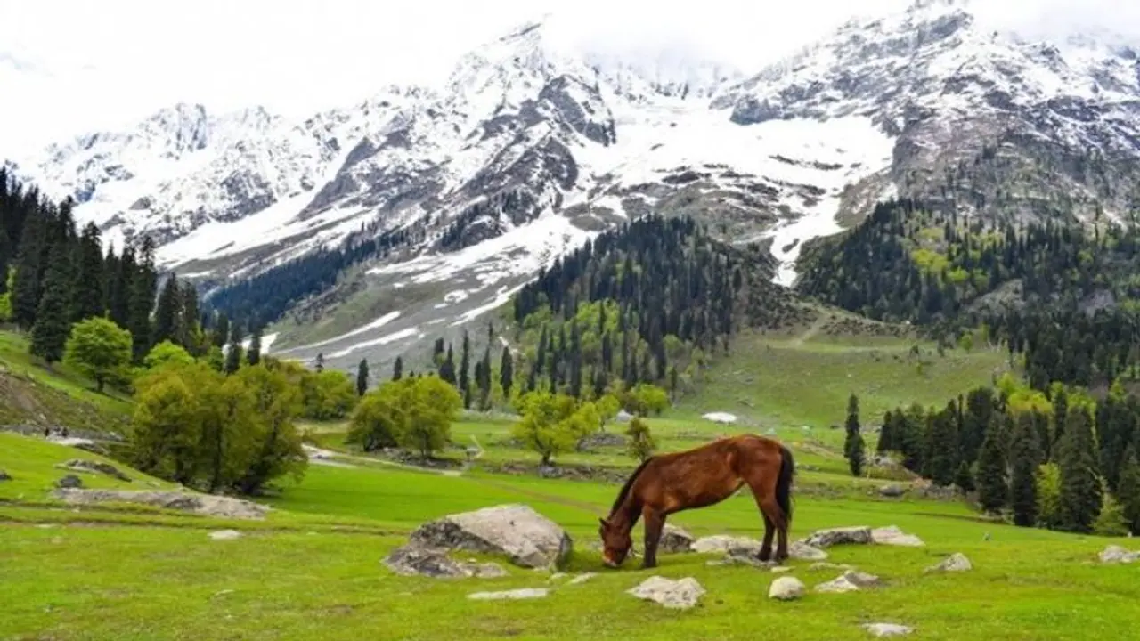 Srinagar: Perfect 2 day itinerary for your magical trip to this slice of paradise